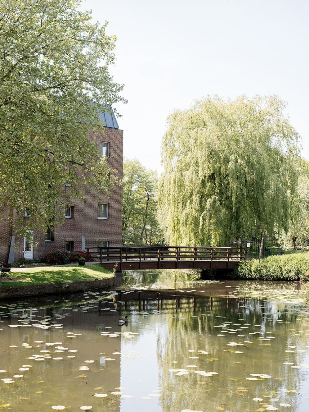 Vijver, brug en groene tuin van Château Holtmühle